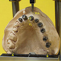 staub-cranial-1