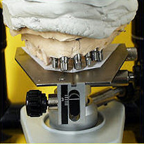 staub-cranial-3